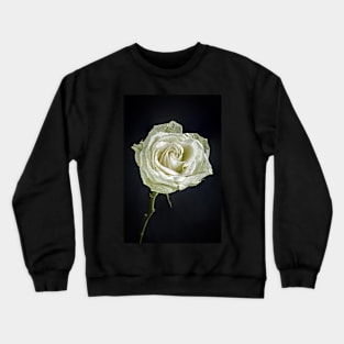 Single White Rose with Raindrops and Black Background Crewneck Sweatshirt